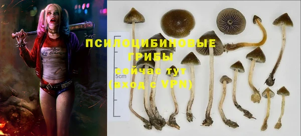 каннабис Богданович