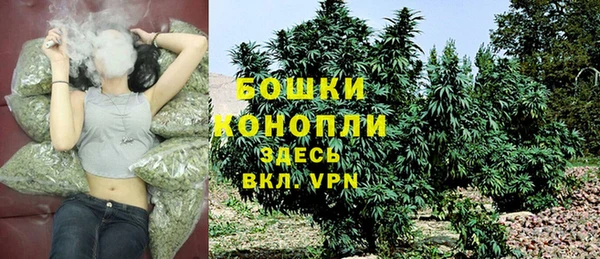 каннабис Богданович