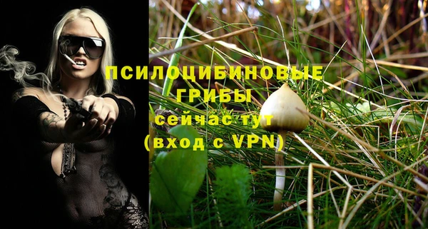 каннабис Богданович