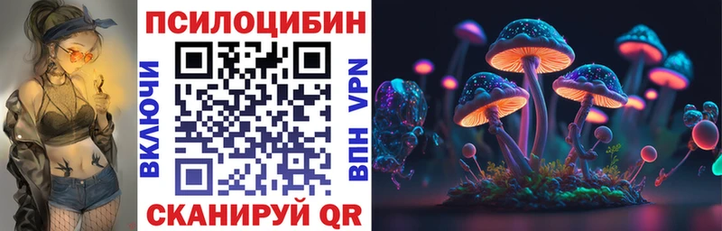 Псилоцибиновые грибы Psilocybe  блэк спрут ссылки  Кирсанов 